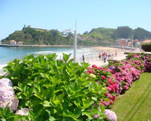 Vibra Sanan - Adults Only San Antonio Abad